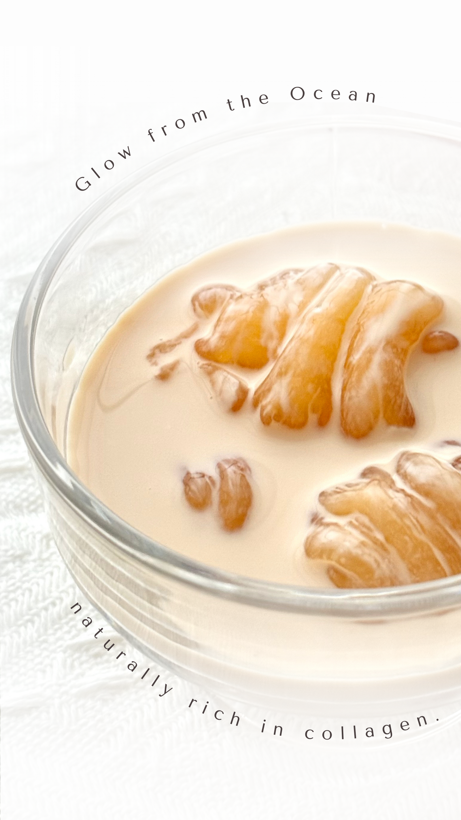 CHYU｜燕窝 + 花胶